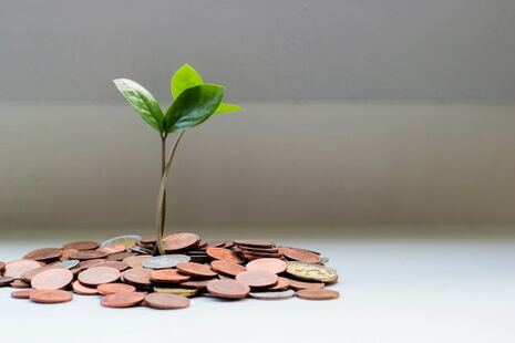 Pousse végétale grandissant au milieu de pièces de monnaie symbolisant la finance verte 
