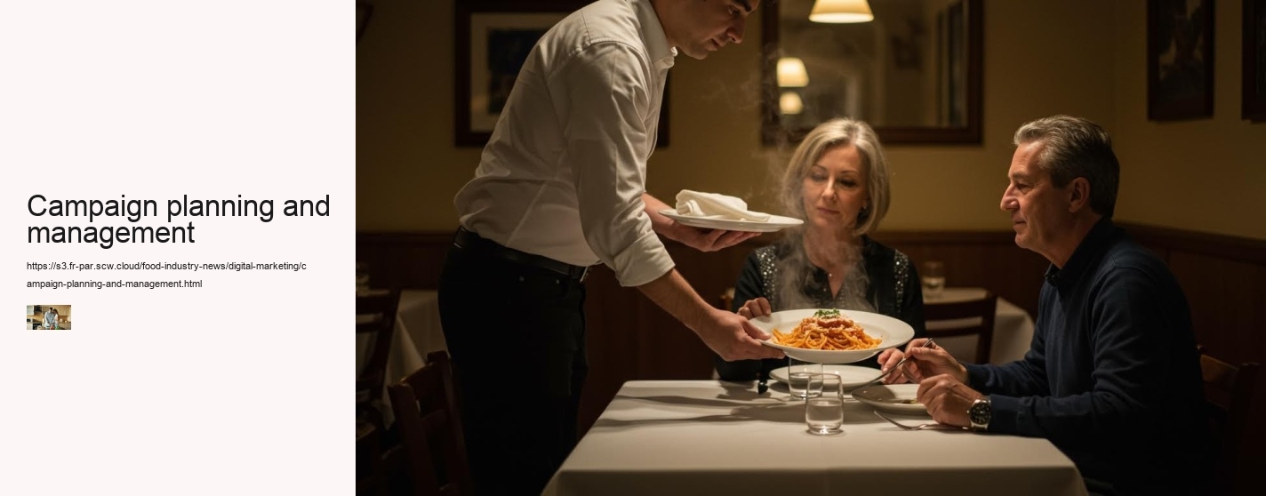 Campaign planning and management