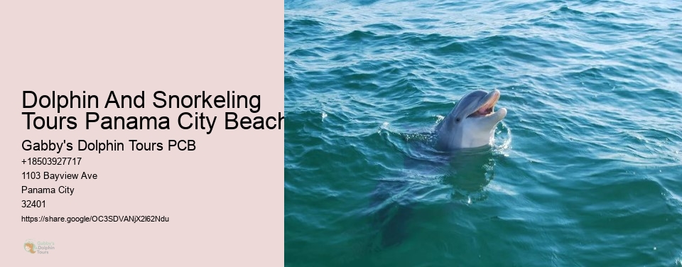 Dolphin And Snorkeling Tours Panama City Beach
