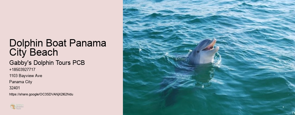 Dolphin Boat Panama City Beach