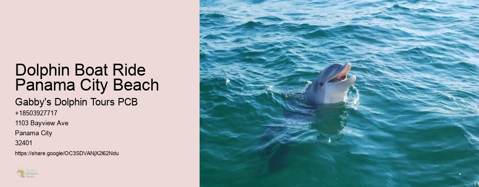 Dolphin Boat Ride Panama City Beach