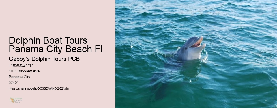 Dolphin Boat Tours Panama City Beach Fl