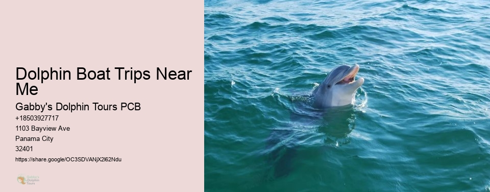 Dolphin Boat Trips Near Me