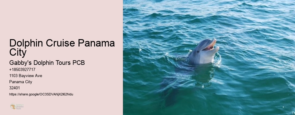 Dolphin Cruise Panama City