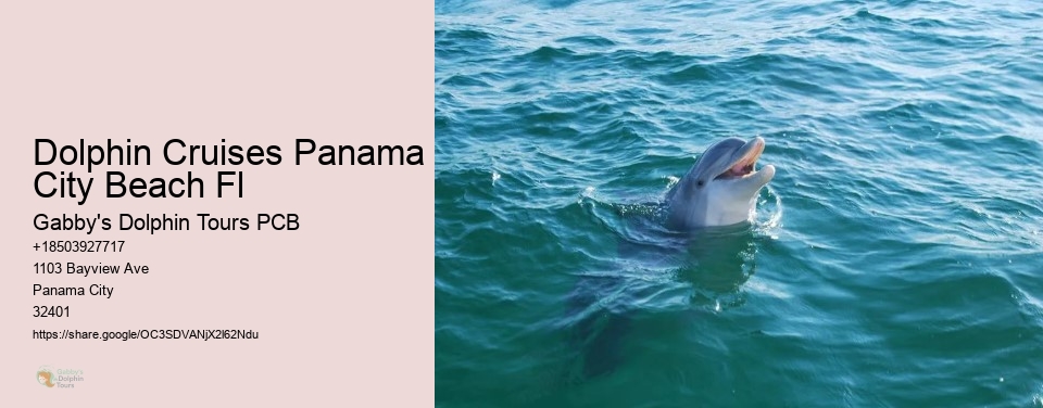 Dolphin Cruises Panama City Beach Fl