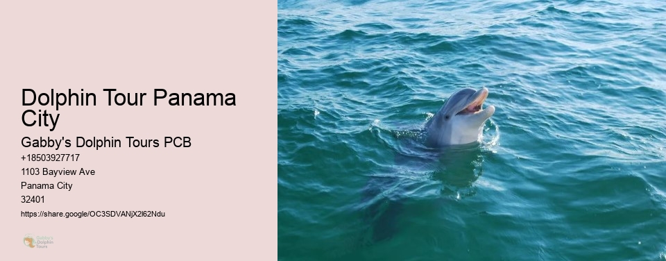 Dolphin Tour Panama City