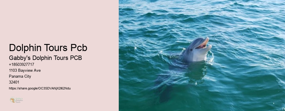 Dolphin Tours Pcb