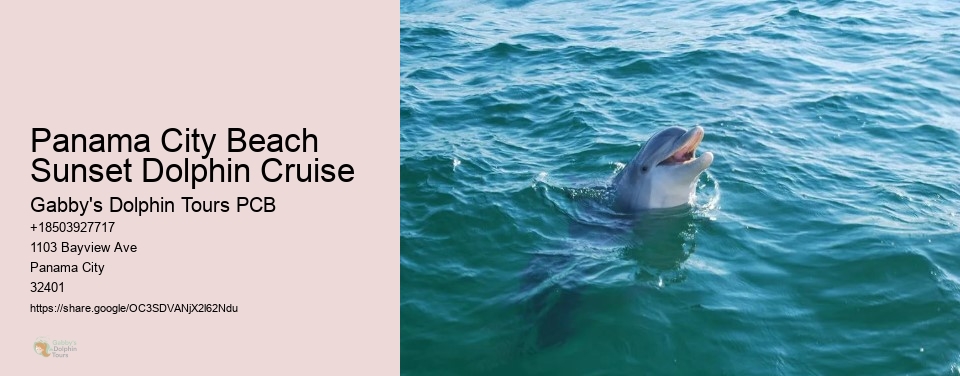 Panama City Beach Sunset Dolphin Cruise