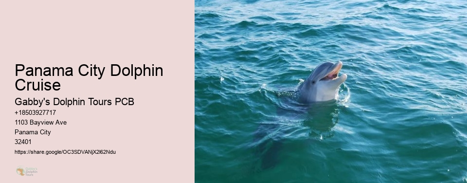Panama City Dolphin Cruise