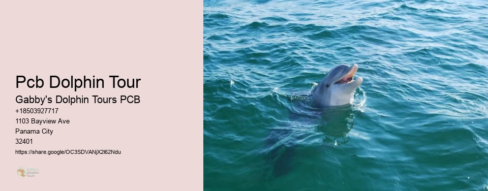 Pcb Dolphin Tour