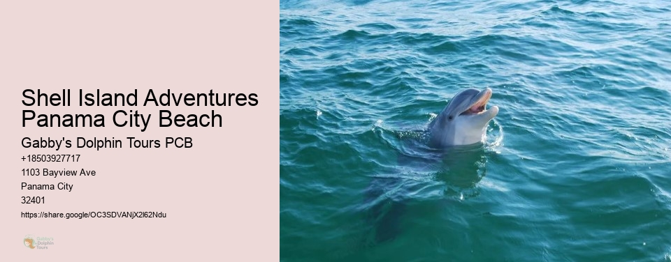 Shell Island Adventures Panama City Beach