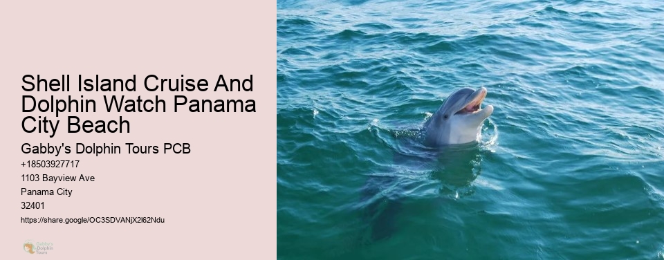 Shell Island Cruise And Dolphin Watch Panama City Beach