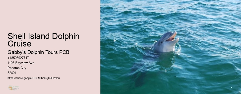 Shell Island Dolphin Cruise