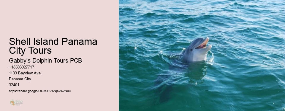 Shell Island Panama City Tours