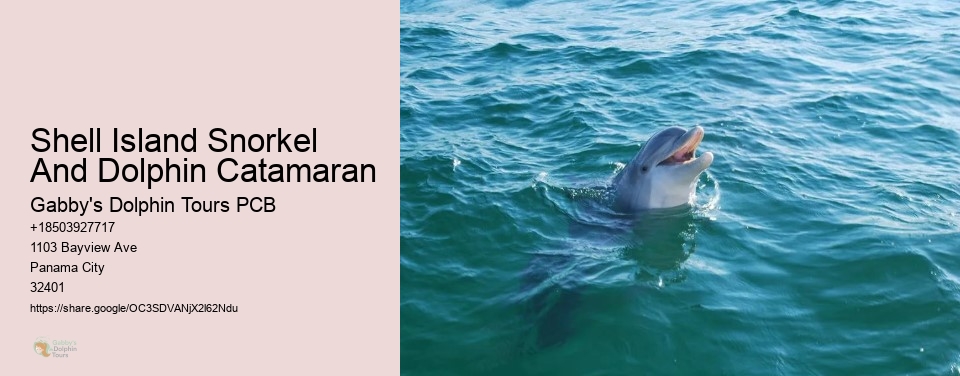 Shell Island Snorkel And Dolphin Catamaran