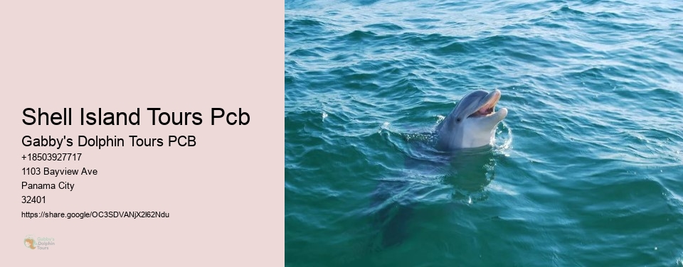 Shell Island Tours Pcb