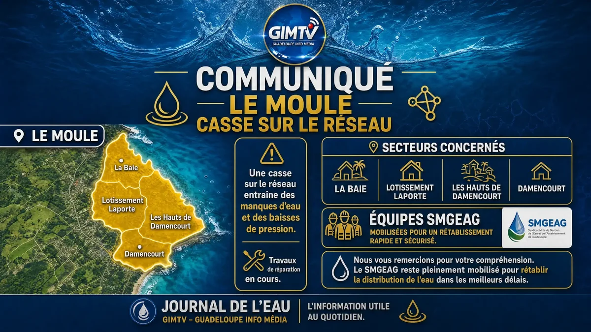 COMMUNIQUÉ – LE MOULE CASSE SUR LE RÉSEAU