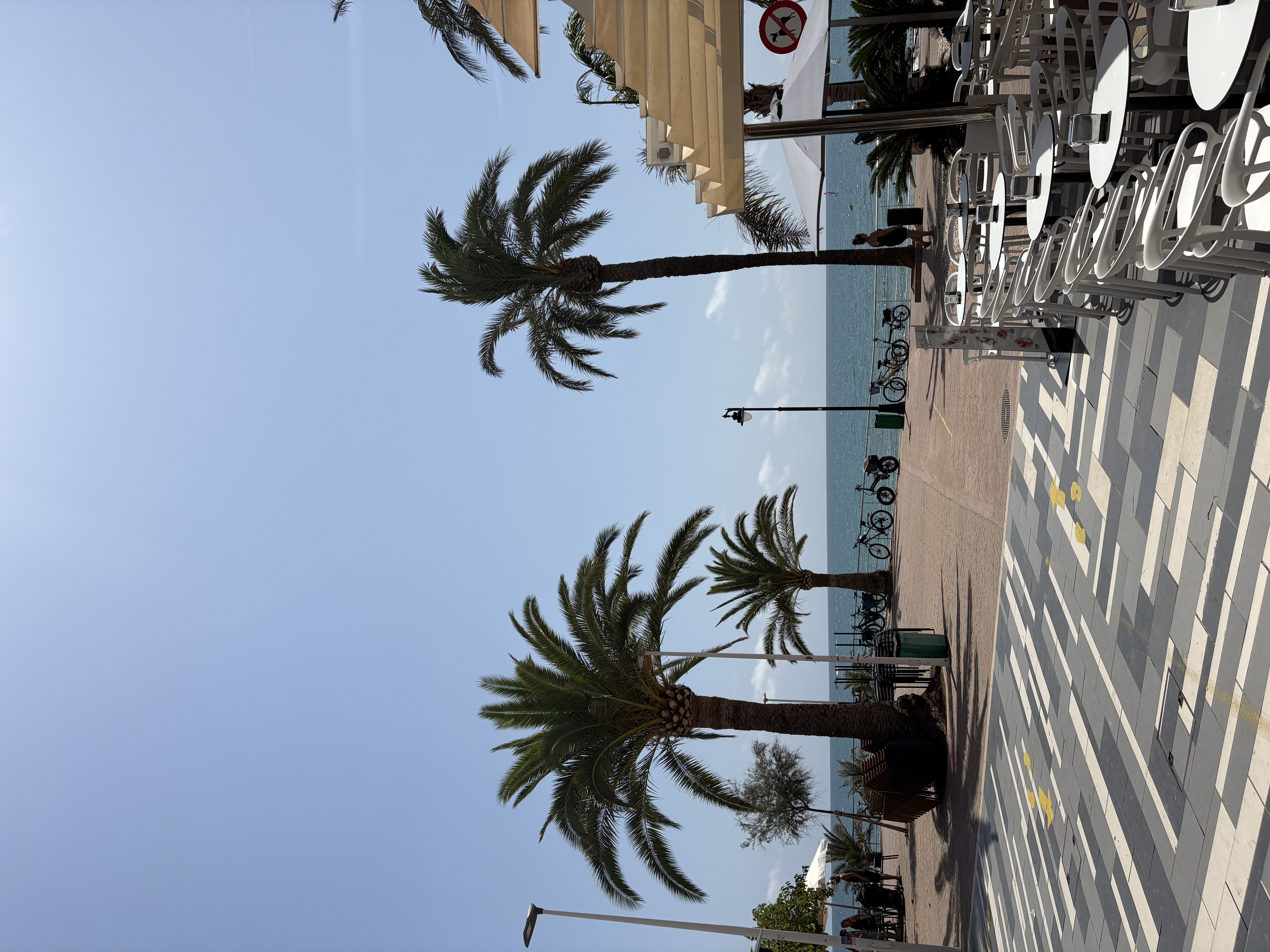La plage et des beaux palmiers