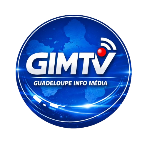 Logo GIMTV