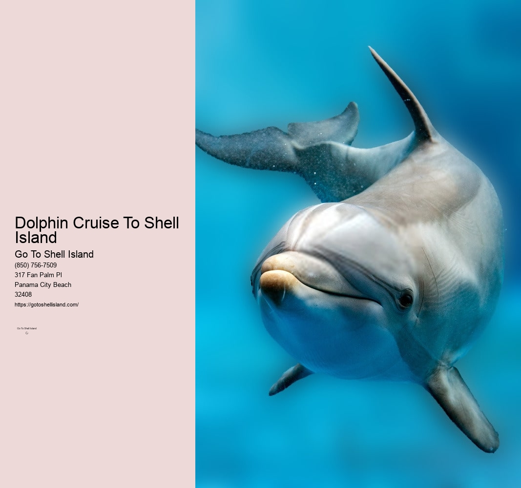 Dolphin Cruise To Shell Island
