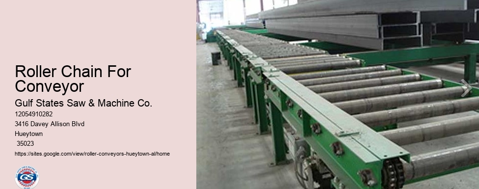 Roller Chain For Conveyor