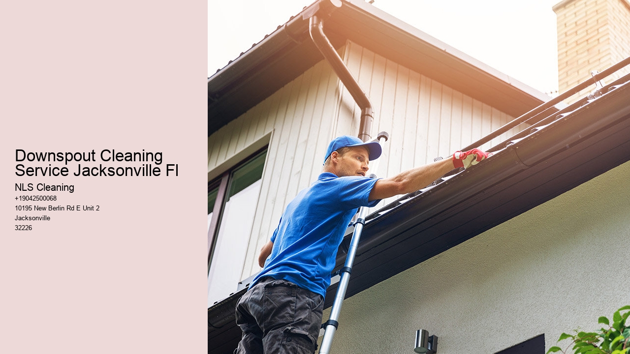 Downspout Cleaning Service Jacksonville Fl