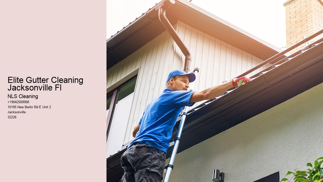 Elite Gutter Cleaning Jacksonville Fl