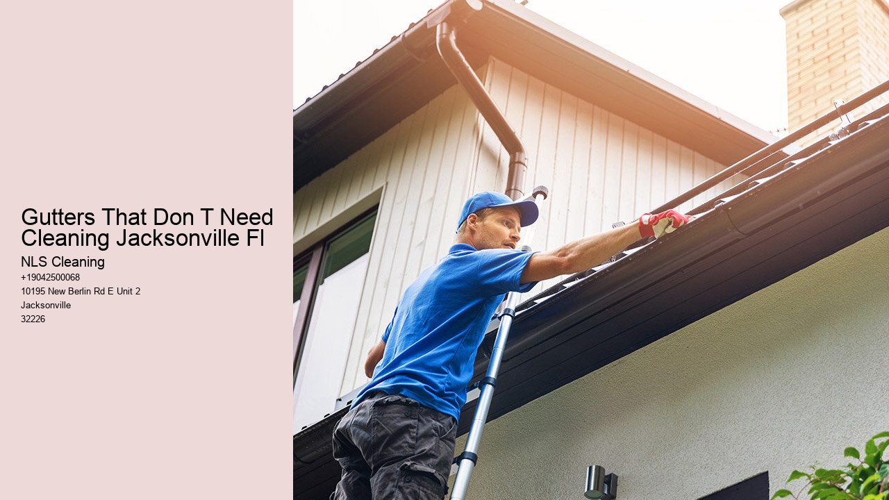 Gutters That Don T Need Cleaning Jacksonville Fl