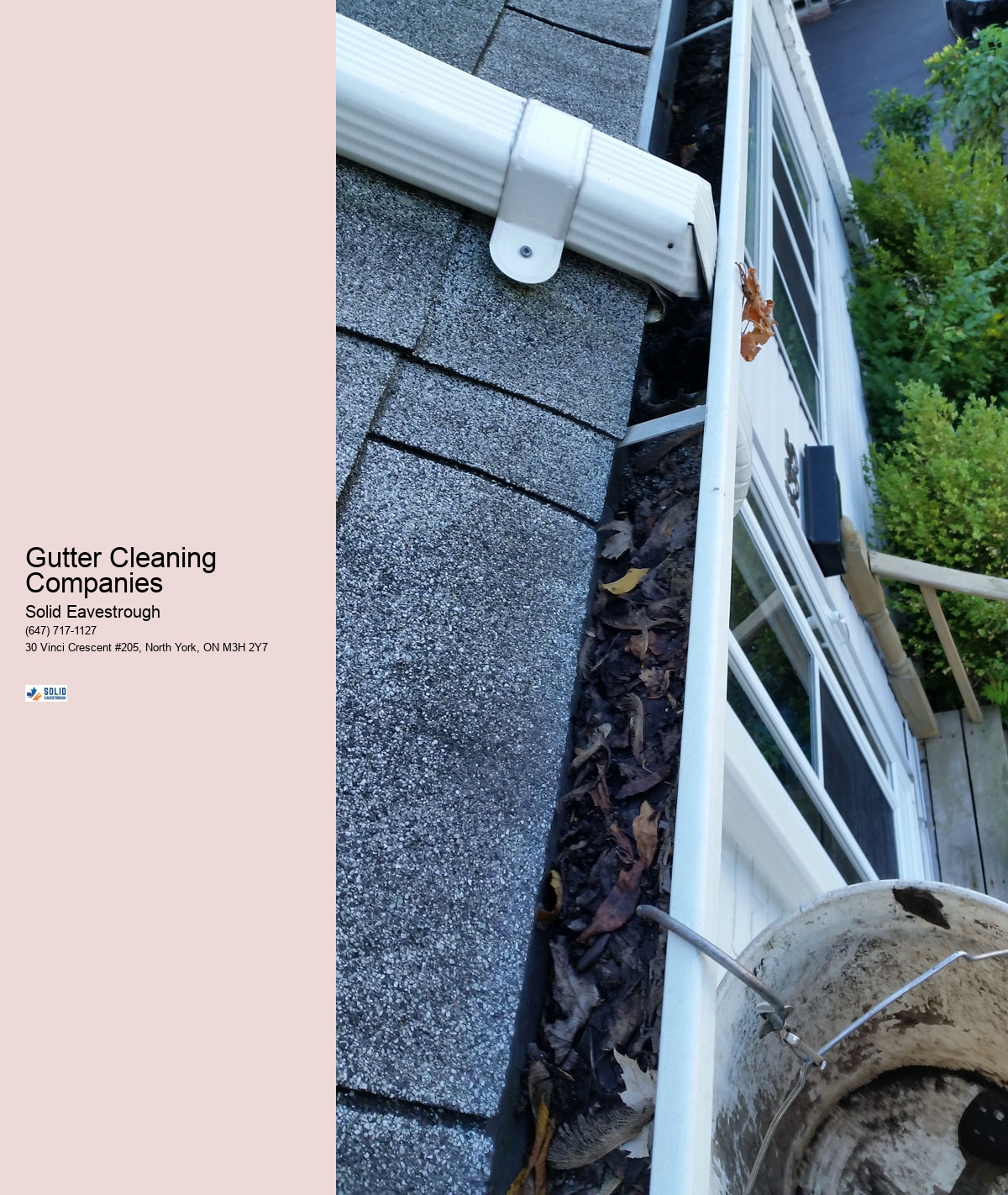 Gutter Cleaning Companies