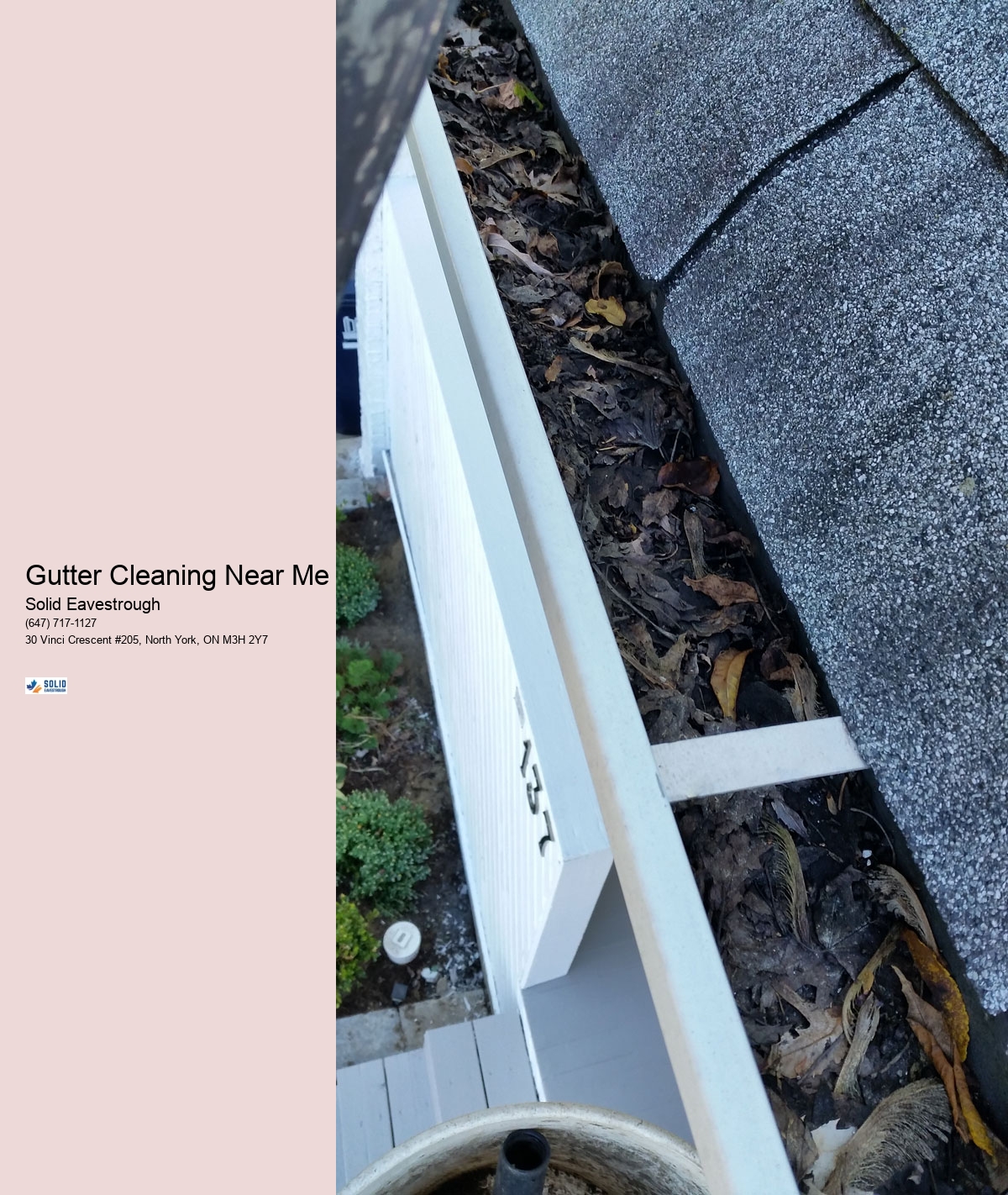 Gutter Cleaning Near Me