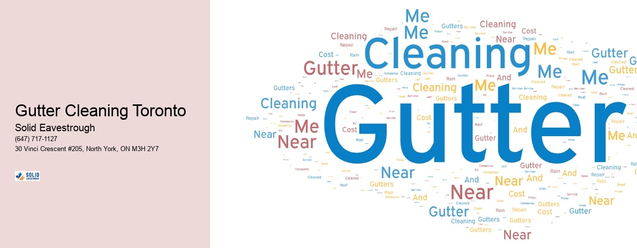 Gutter Cleaning Toronto