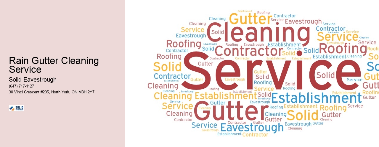 Rain Gutter Cleaning Service