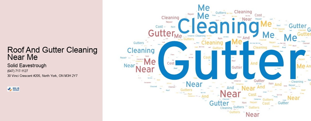 Roof And Gutter Cleaning Near Me