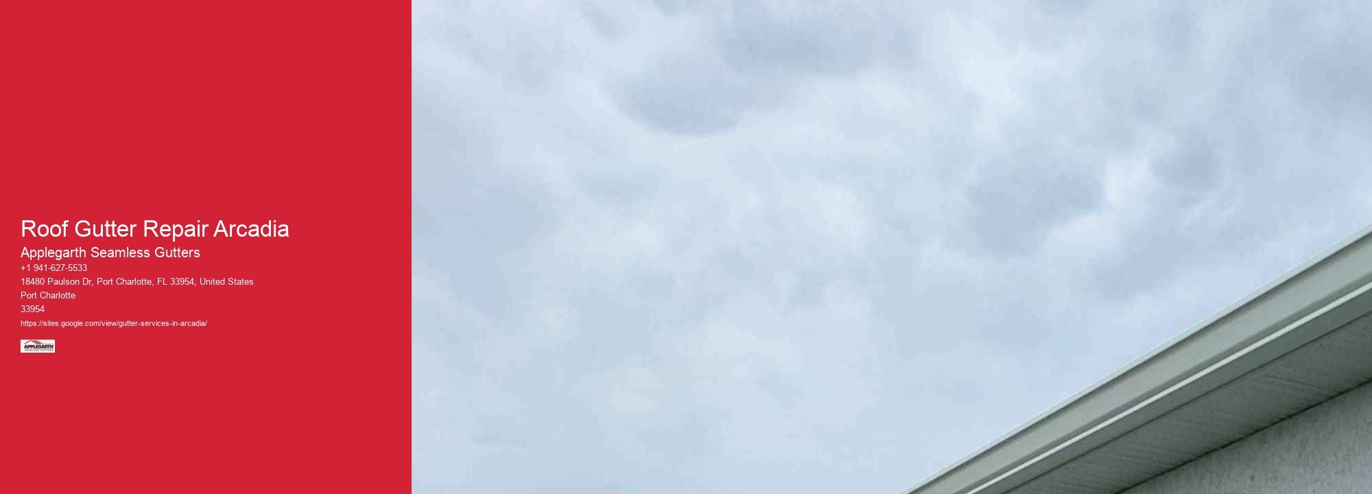 Roof Gutter Repair Arcadia