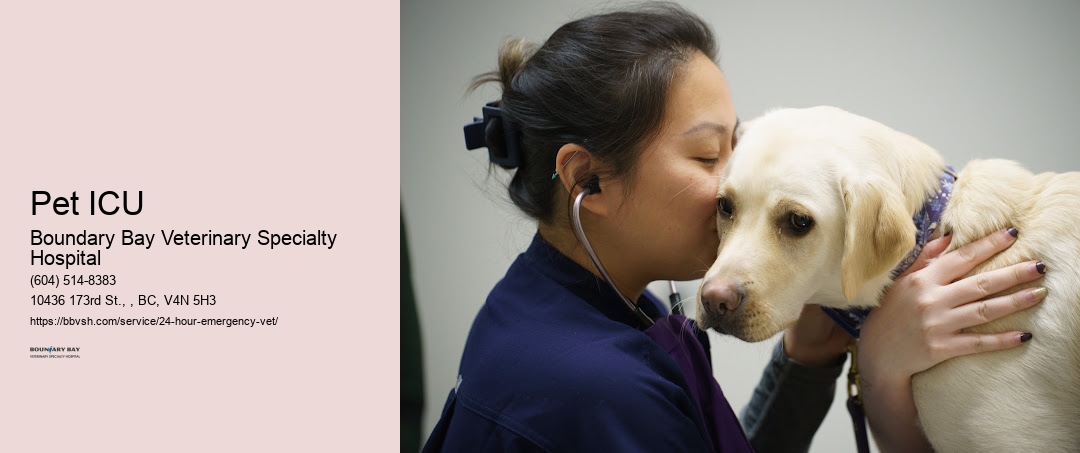 Pet ICU Surrey
