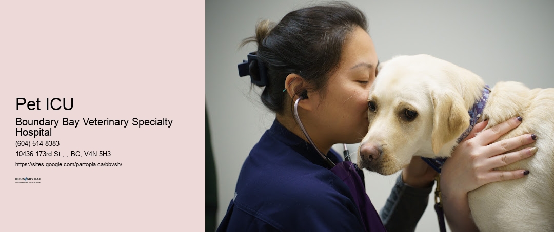 Pet ICU Surrey