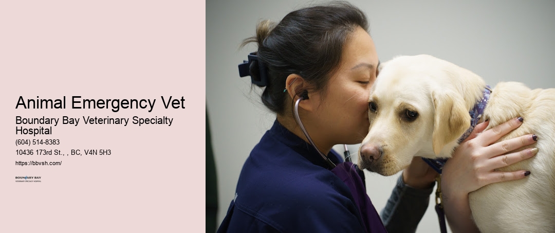 Animal Emergency Vet Surrey