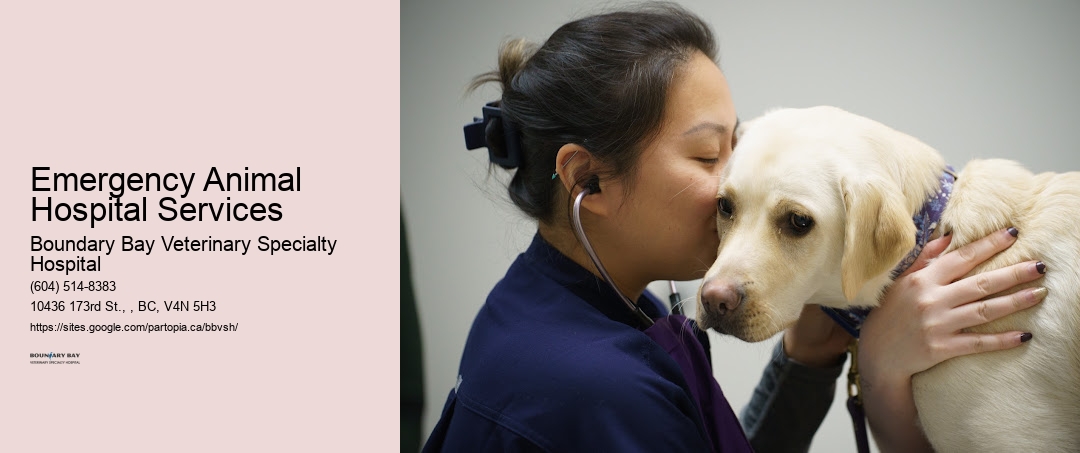Emergency Animal Hospital Services Surrey