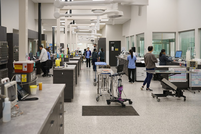 Pet Poisoning Emergency Surrey Animal Emergency Center