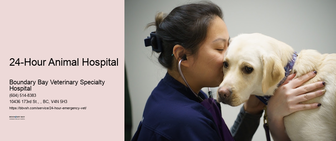 24-Hour Animal Hospital Surrey