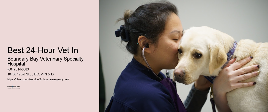 Best 24-Hour Vet In Surrey