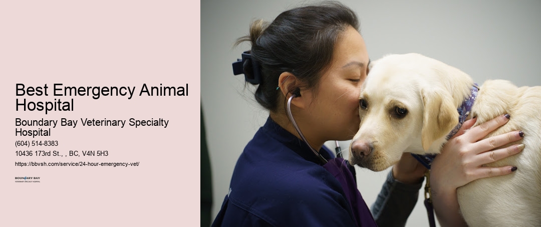 Best Emergency Animal Hospital Surrey