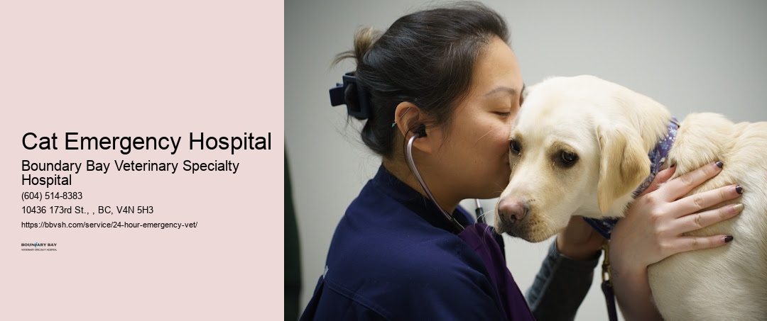 Cat Emergency Hospital Surrey