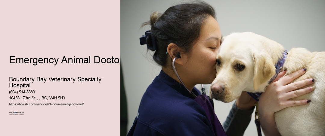 Emergency Animal Doctor Surrey
