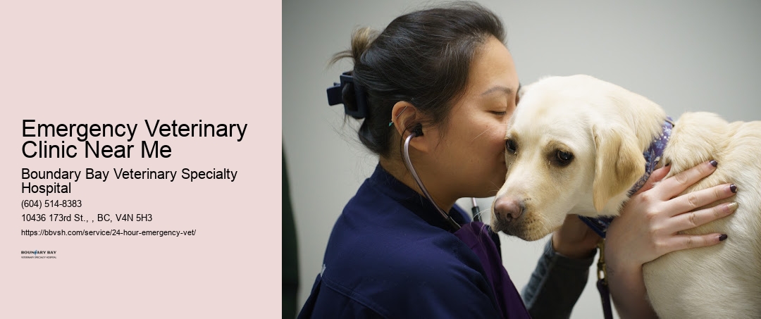 Emergency Veterinary Clinic Near Me Surrey