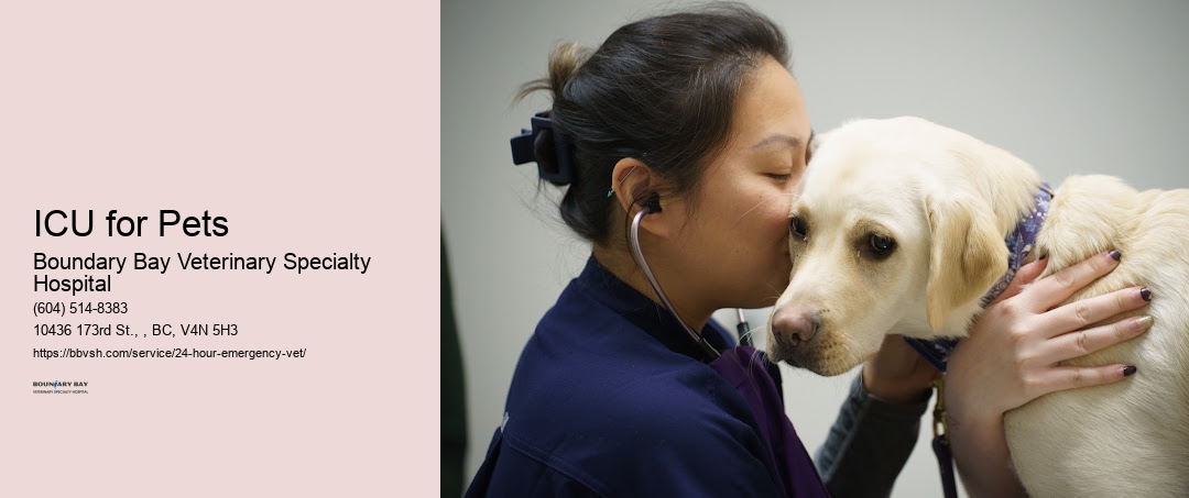 ICU for Pets Surrey