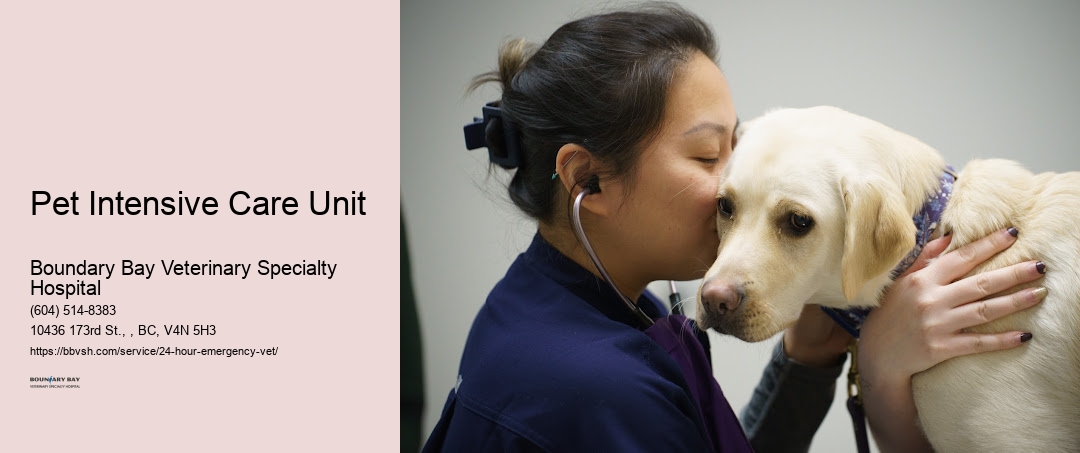 Pet Intensive Care Unit Surrey