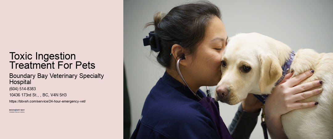 Toxic Ingestion Treatment For Pets Surrey
