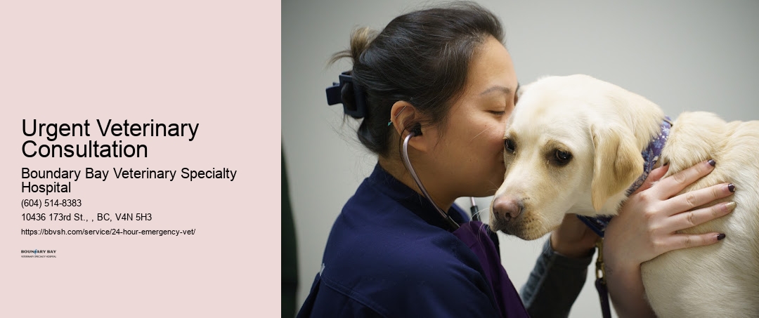 Urgent Veterinary Consultation Surrey
