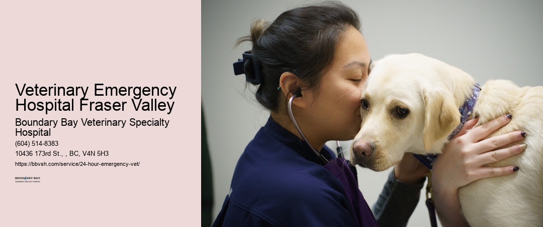 Veterinary Emergency Hospital Fraser Valley
